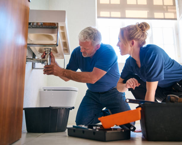 Best Residential Plumbing Services  in Webb City, MO